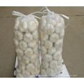 shandong liancheng garlic industry co.,ltd